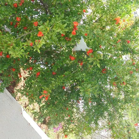 Vila Eri Aparthotel